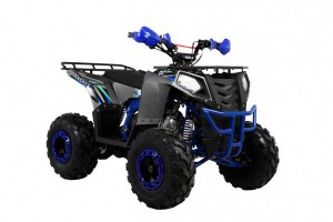 Квадроцикл Wels ATV THUNDER EVO 125 s-dostavka Серый - магазин СпортДоставка. Спортивные товары интернет магазин в Элисте 