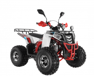 Квадроцикл Wels ATV THUNDER EVO 125 Х s-dostavka Белый - магазин СпортДоставка. Спортивные товары интернет магазин в Элисте 